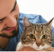 Katze